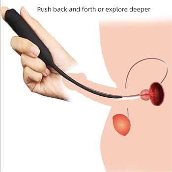 Vibrating Rod1